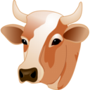 Cow head icon free download as PNG and ICO formats, VeryIcon.com